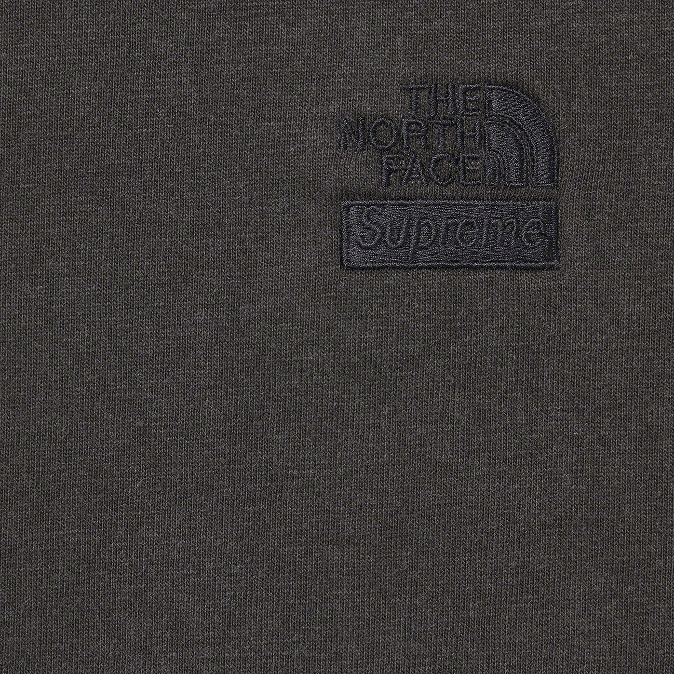 Supreme®/The North Face® Pigment Printed L/S Top view 2